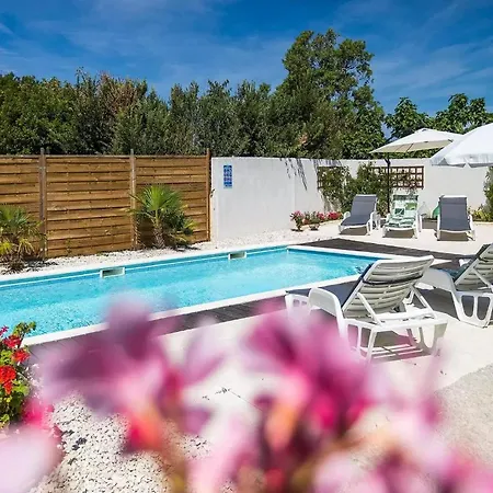 Antonici メドゥリン